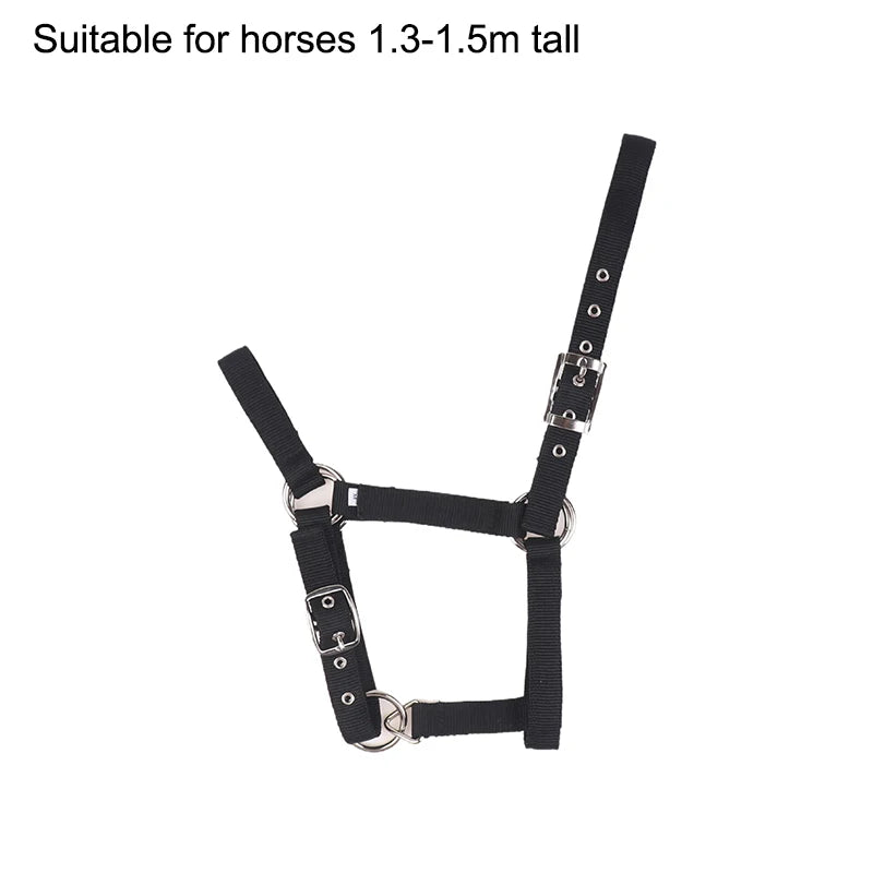 Adjustable Nylon Webbing Equestrian Western Horse Halter Horse Riding Wear Black XS S M L XL Ergonomic Comfortable Halters