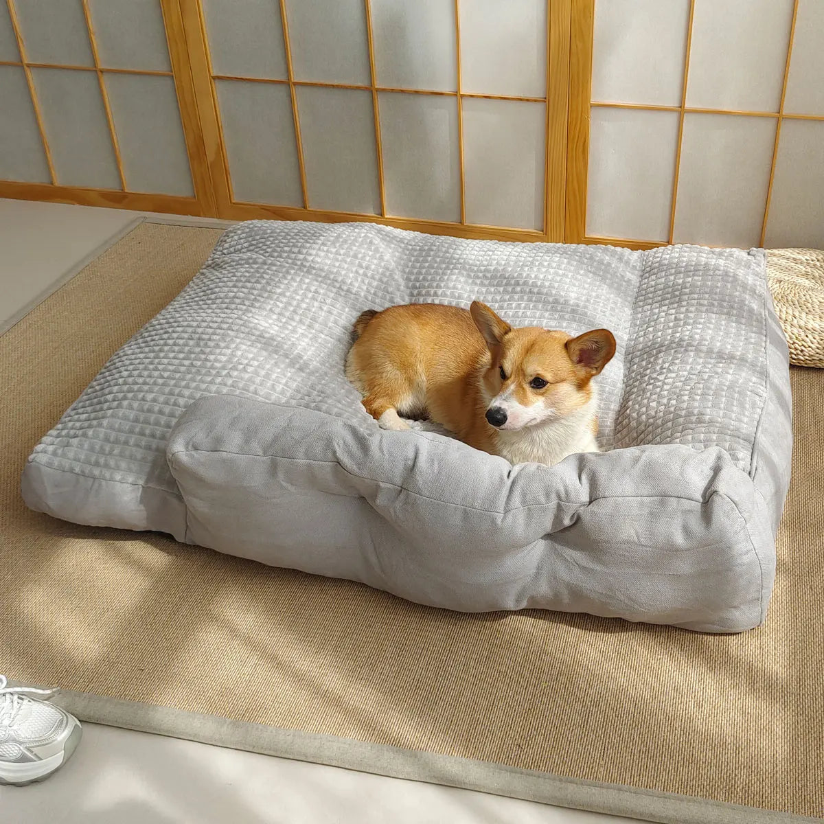 Large dog bed sofa, cat bed, removable and washable pet bed cushion with pillow backrest, pet sofa suitable for all seasons