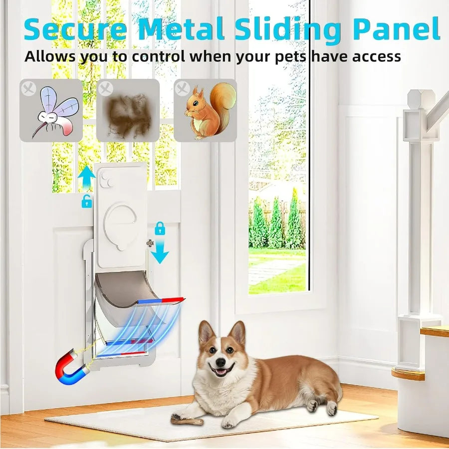 Energyefficient 3flap mediumsized dog door with metal sliding lock panel and steel frame designed for indoor outdoor use featur