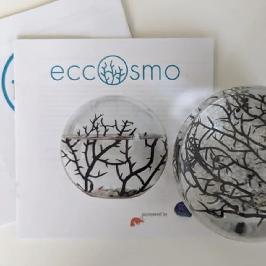 Ecosystem-Closed Ecosystem Small Round Sphere 4 with 2-3 Shrimp Ideal for Home Aquariums Compact Aquatic Environment with Natur