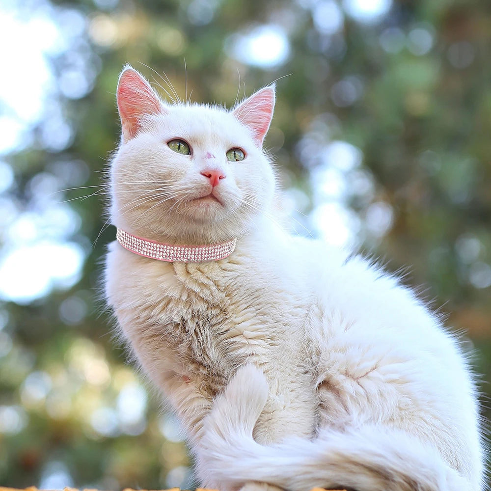 Rhinestone Bling Soft Pink Suede Cat Collar with Bell Safety Breakaway Buckle Adjustable XS/S Sizes for Kitten