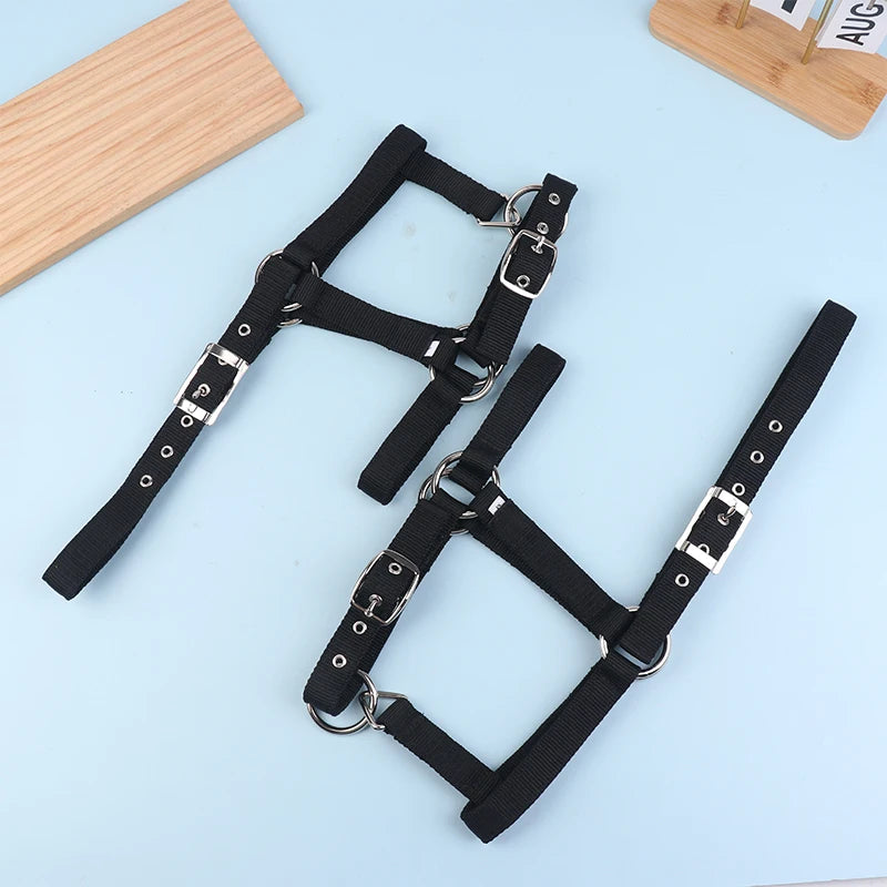Adjustable Nylon Webbing Equestrian Western Horse Halter Horse Riding Wear Black XS S M L XL Ergonomic Comfortable Halters