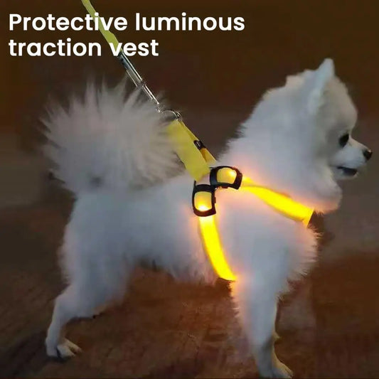 Adjustable LED Pet Harness USB Rechargeable Light Up Dog Harness Glow-in-The-Dark Safety Vest For Small Medium Dogs Pets Arnes