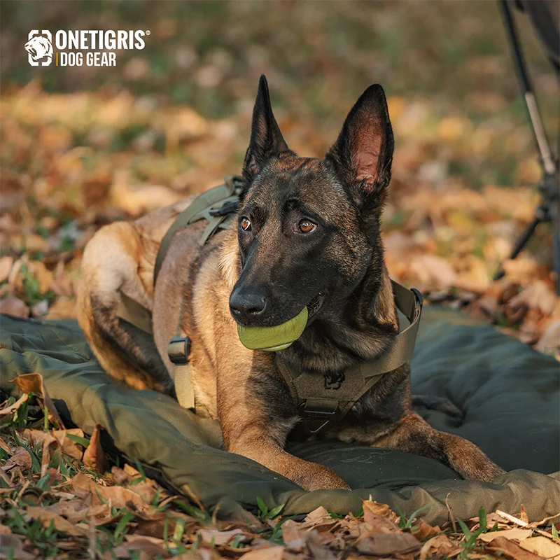 OneTigris Portable Dog Mats for Sleeping, Washable Mattress Anti-slip Cushion for Dog Cot, Water-Resistant Pet Bed for Outdoors