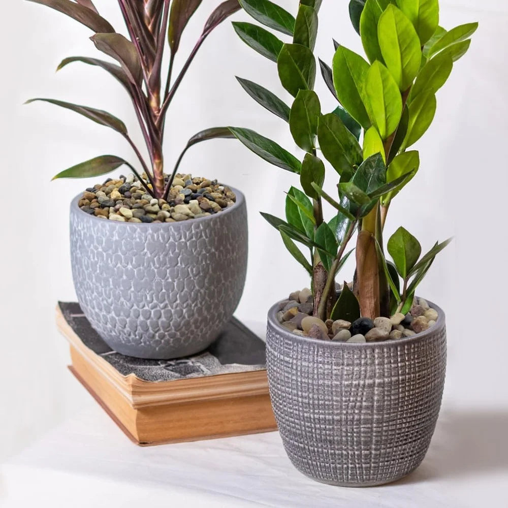 Natural River Rocks Aquarium Gravel 5 Lbs Fish Tank Pebbles