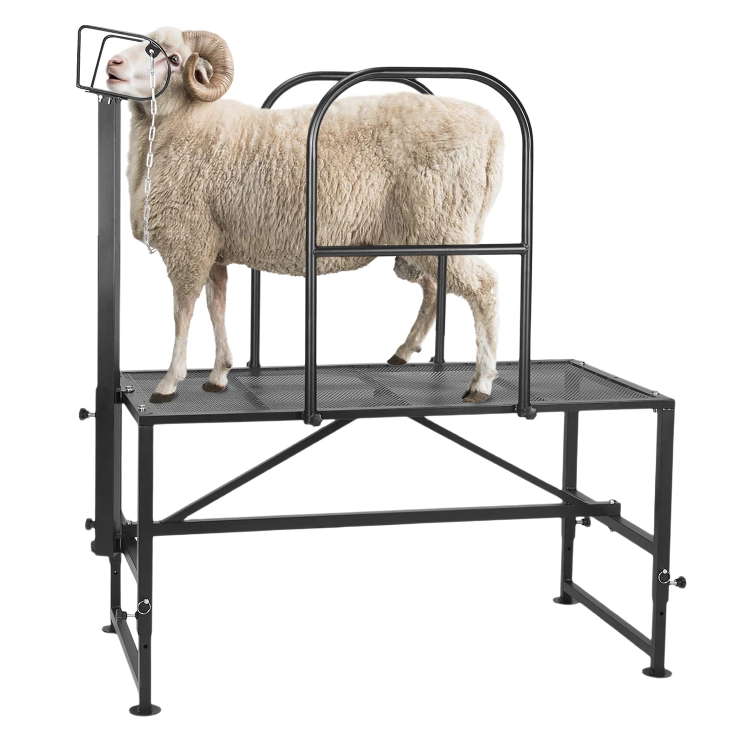 Goat Milking Stand Sheep & Goat Trimming Stand Adjustable Height Goat Shearing Livestock Stand with Headpiece and Nose Loop