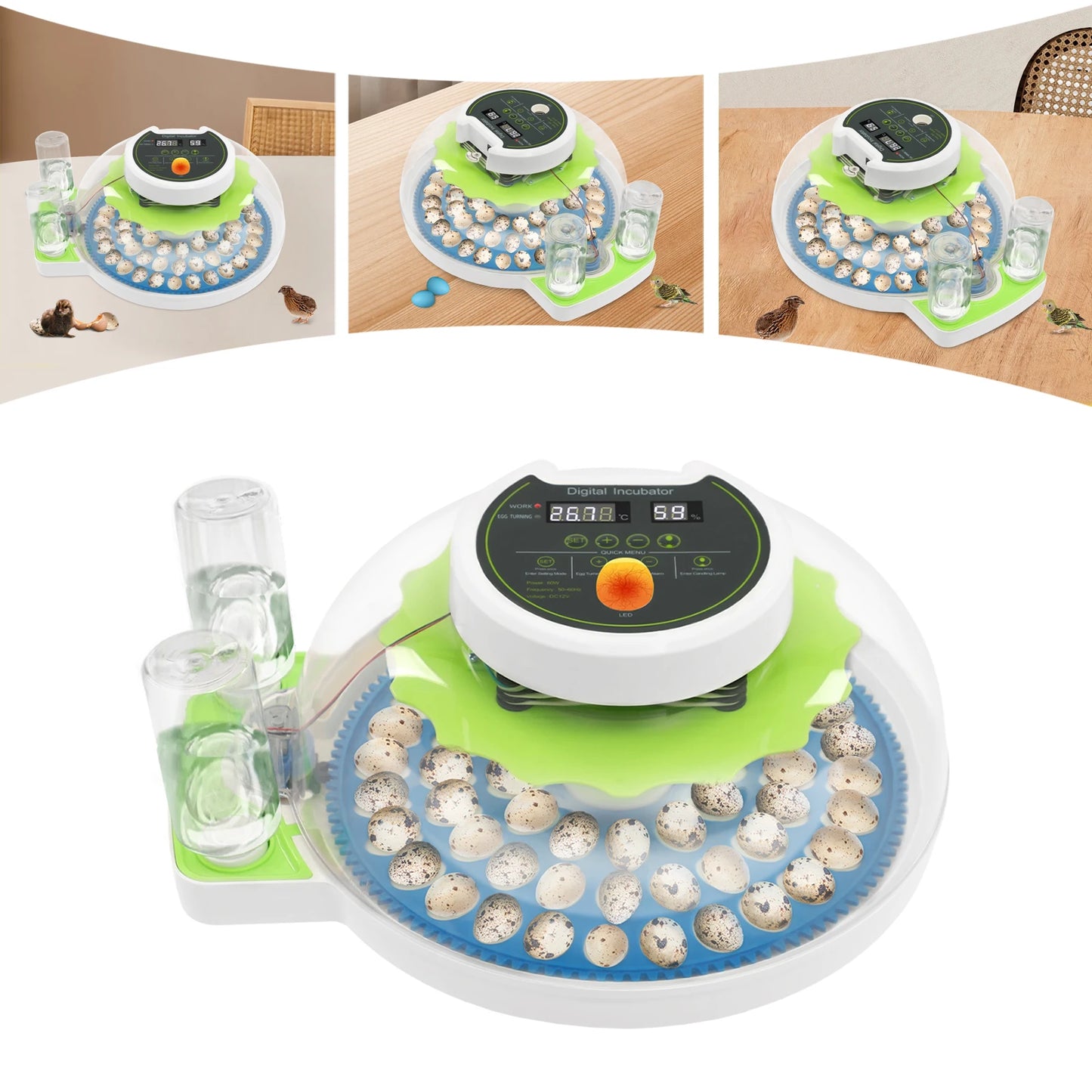 Small Incubator for 60 Small Eggs, Automatic Water Replenishment and Temperature Control Incubator, Outdoor Poultry