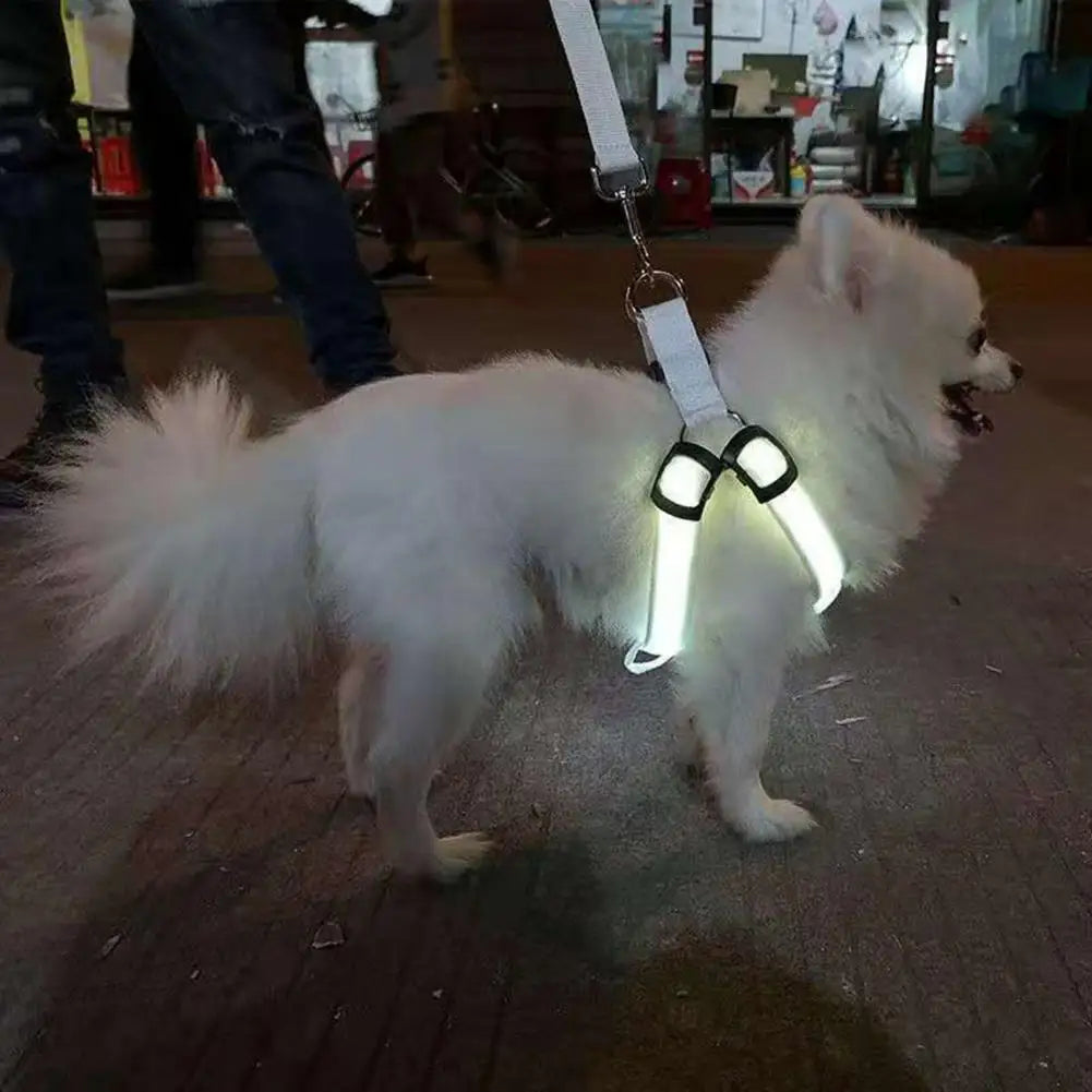 Adjustable LED Pet Harness USB Rechargeable Light Up Dog Harness Glow-in-The-Dark Safety Vest For Small Medium Dogs Pets Arnes