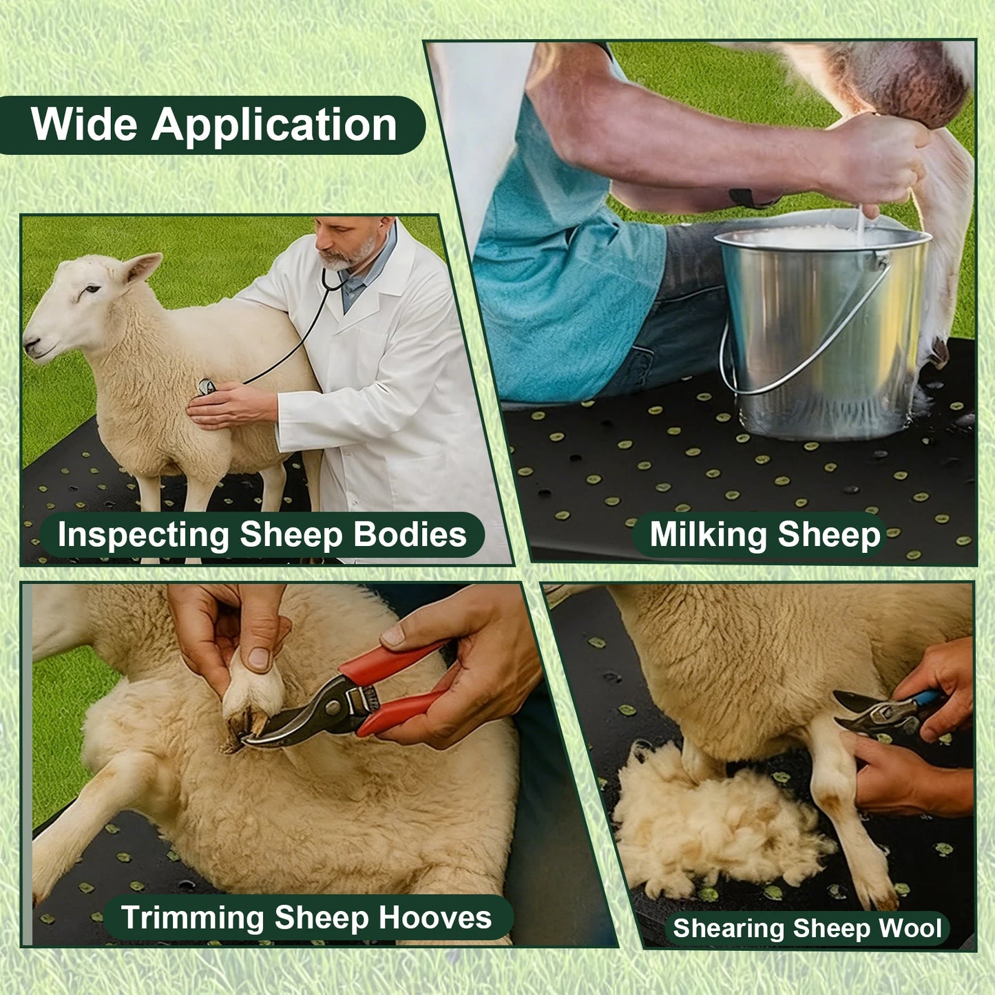 Goat Milking Stand 500Lbs Capacity Shearing Stand with Ramp Livestock Sheep Stand Trimming Stand with Headpiece Nose Loop