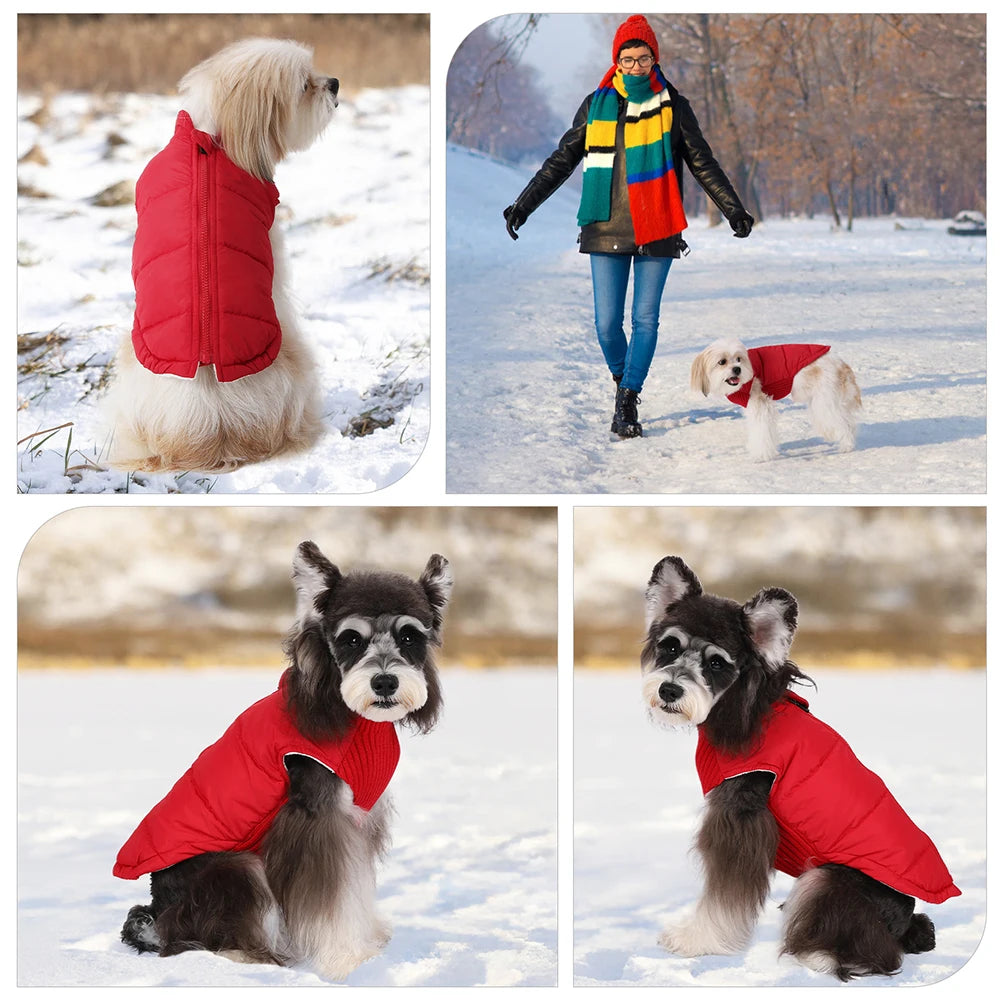 Pet Knitted Leisure Dog Clothes Autumn Winter Warm Vest Jacket With Zipper For Samll Medium Dog Chihuahua French Bulldog Coats