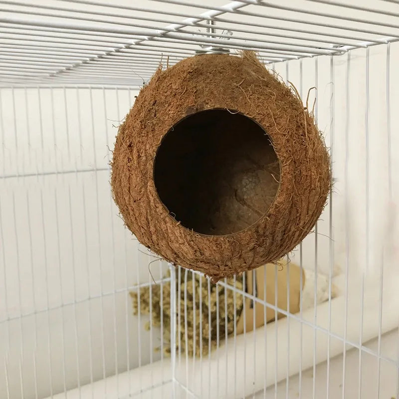 Natural Coco Hideaway Parrot Birds Reptile Coconut Shell Bird Nest Cage Hanging Toy for Budgies Parakeet Cockatiels Hamste House