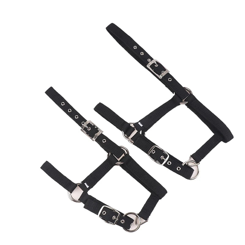 Adjustable Nylon Webbing Equestrian Western Horse Halter Horse Riding Wear Black XS S M L XL Ergonomic Comfortable Halters