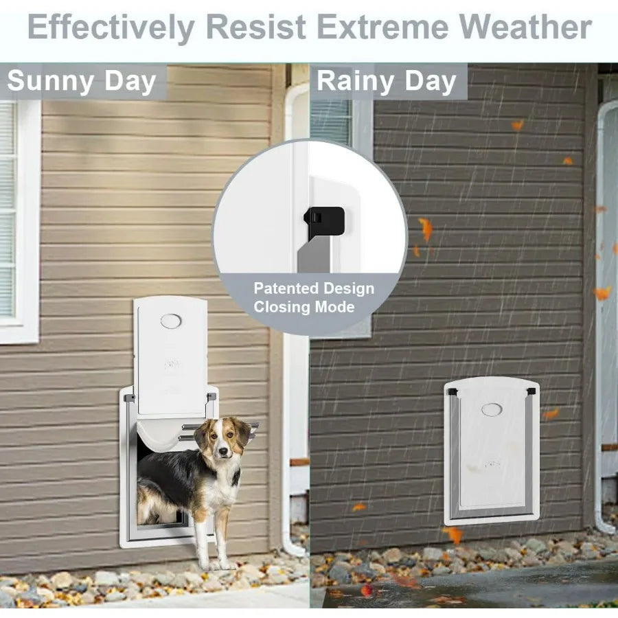 Energyefficient steel dog door for wall installation with telescoping tunnel and durable steel frame featuring double magnetic