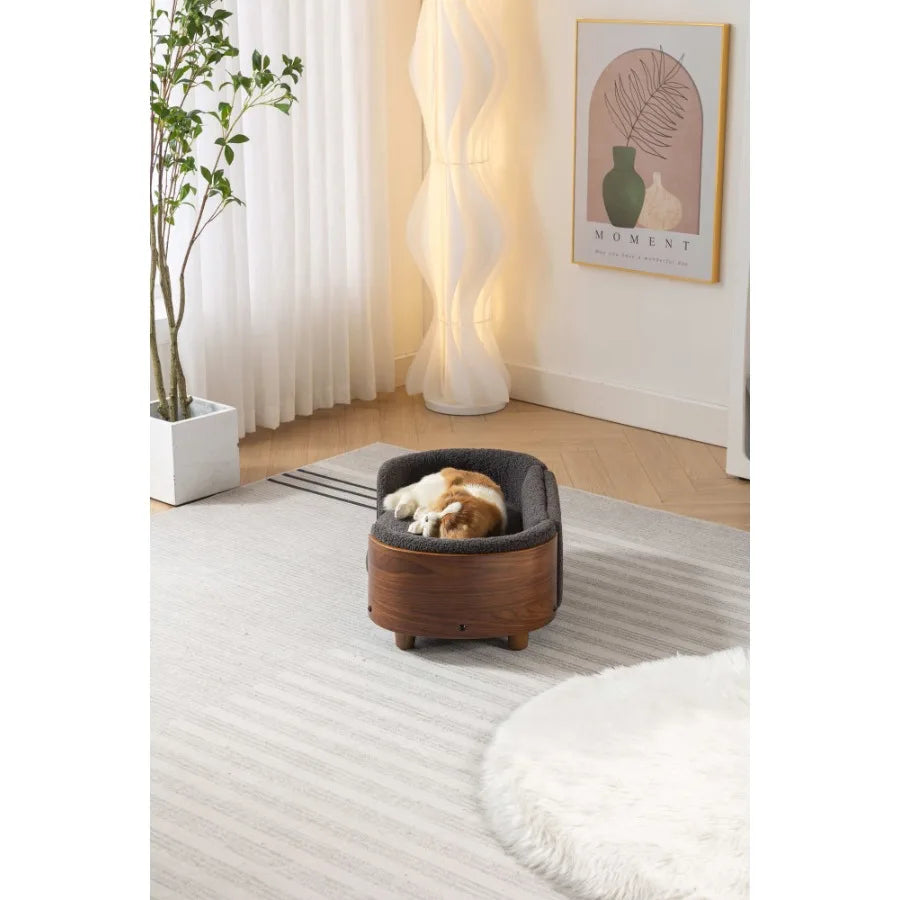 Scandinavian Elevated Dog Bed With Walnut Bent Wood Back