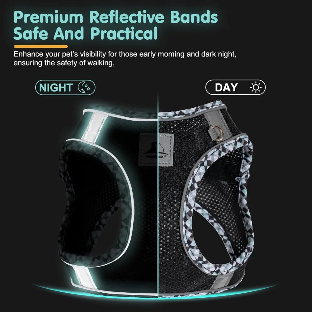 Dog Harness and Leash Set, No Pull Pet Harness for Small Dogs Easy Walking,Soft Breathable Small Dog Harness