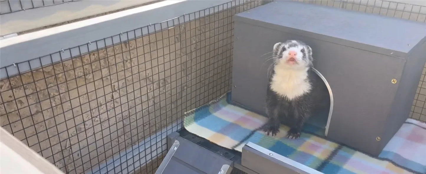 5-layer Small Animal Cage, Suitable for Chinchillas, Hedgehogs, Squirrels, Chameleons, Lizards, Gerbils, Bite-proof