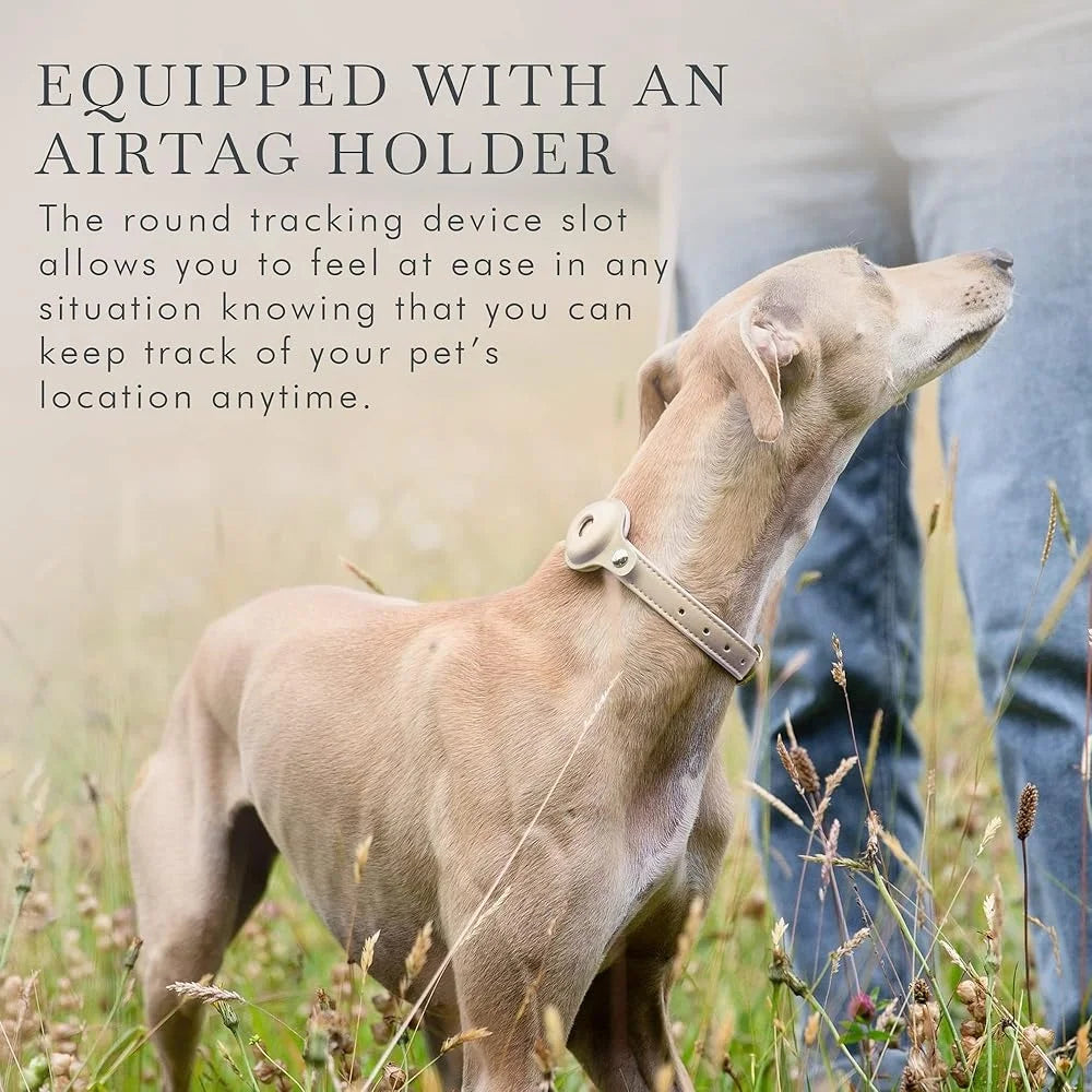 Vegan Leather Dog Collar Tracker Holder Adjustable Harness