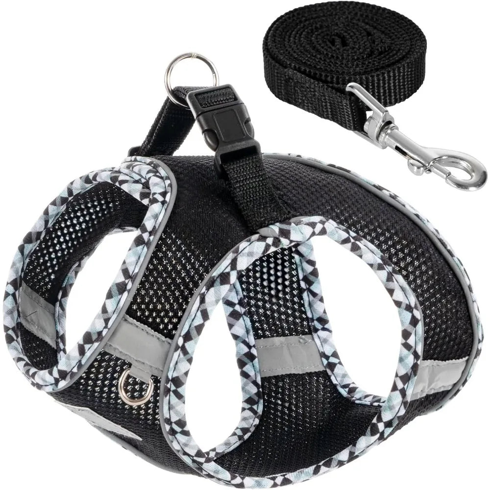 Dog Harness and Leash Set, No Pull Pet Harness for Small Dogs Easy Walking,Soft Breathable Small Dog Harness