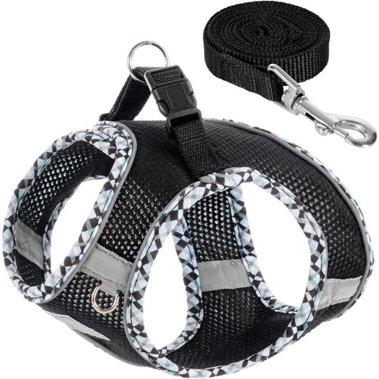 Dog Harness and Leash Set, No Pull Pet Harness for Small Dogs Easy Walking,Soft Breathable Small Dog Harness