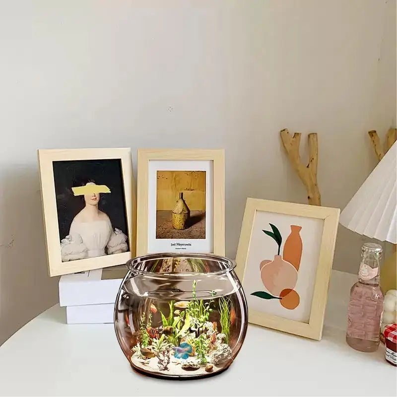 1pcs PET Clear Round Fish Bowl Aquarium Keeper Tank Vase Pot For Snow Living Room Tabletop Ecologicals Fish Tank Decoration