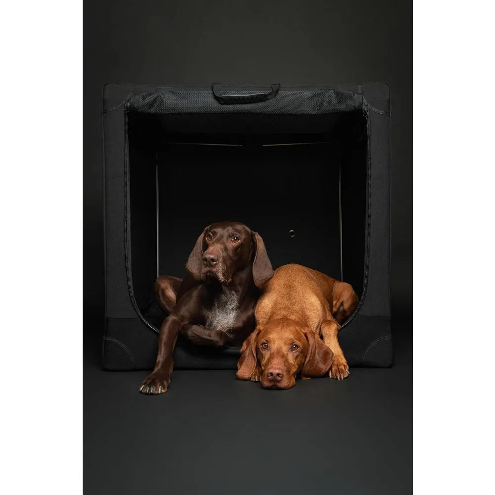 Noah & Paw Collapsible Dog Crate 36 Inches, XL Dog Crate for XL, Large Medium Breed, Travel Kennel for Car, Includes Pet Mat for