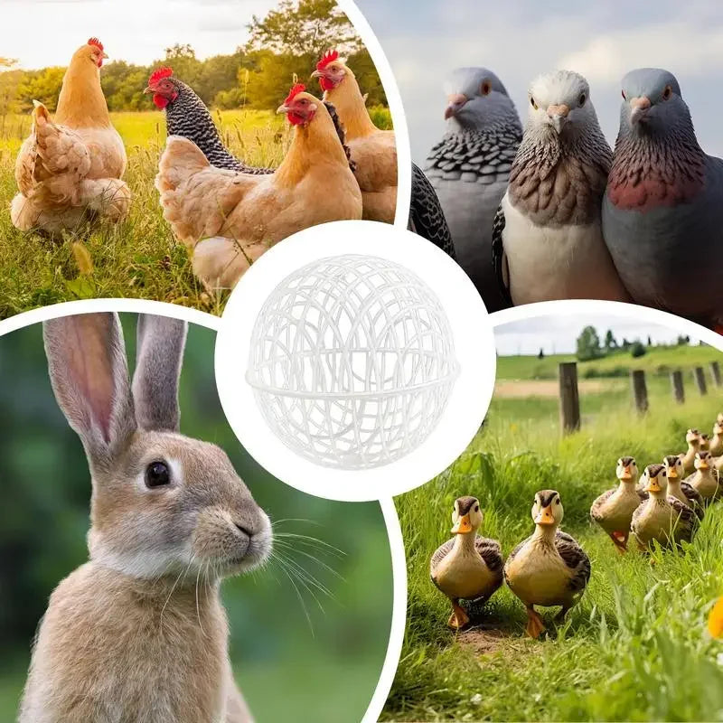 3pcs Walking Chicken Cage Safety Spherical Chicken Rolling Ball Chicken Hamster Ball Cage Free Range Can Roll and Walk To Feed