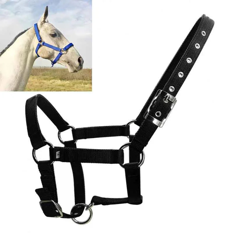 Adjustable Nylon Webbing Equestrian Western Horse Halter Horse Riding Wear Black XS S M L XL Ergonomic Comfortable Halters