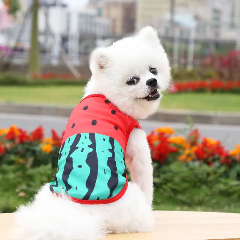 Cartoon Print Cotton Pet Apparel - 3-Season Vests/Coats/Shirts for Dogs & Cats