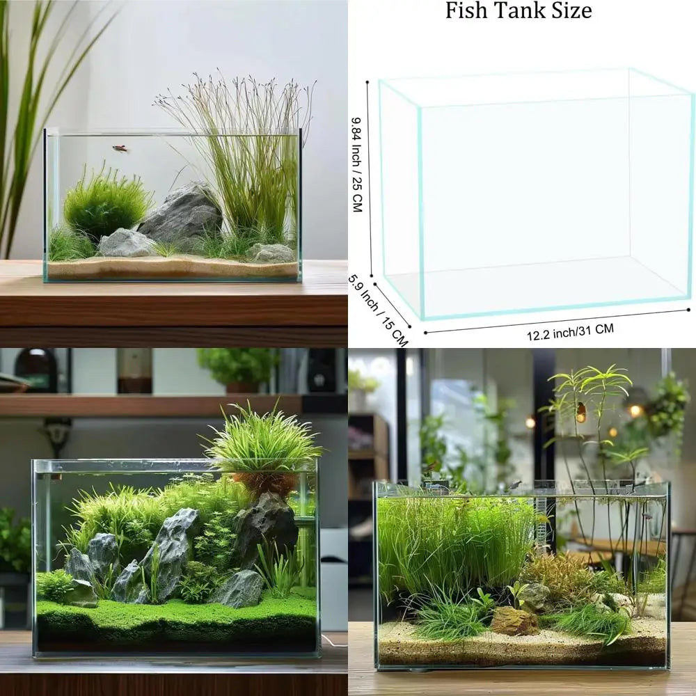 3 Gallon Glass Aquarium for Betta Goldfish Snails Shrimp