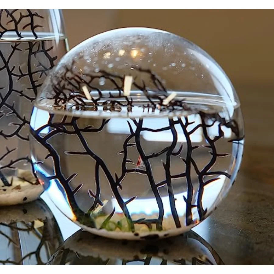 Ecosystem-Closed Ecosystem Small Round Sphere 4 with 2-3 Shrimp Ideal for Home Aquariums Compact Aquatic Environment with Natur