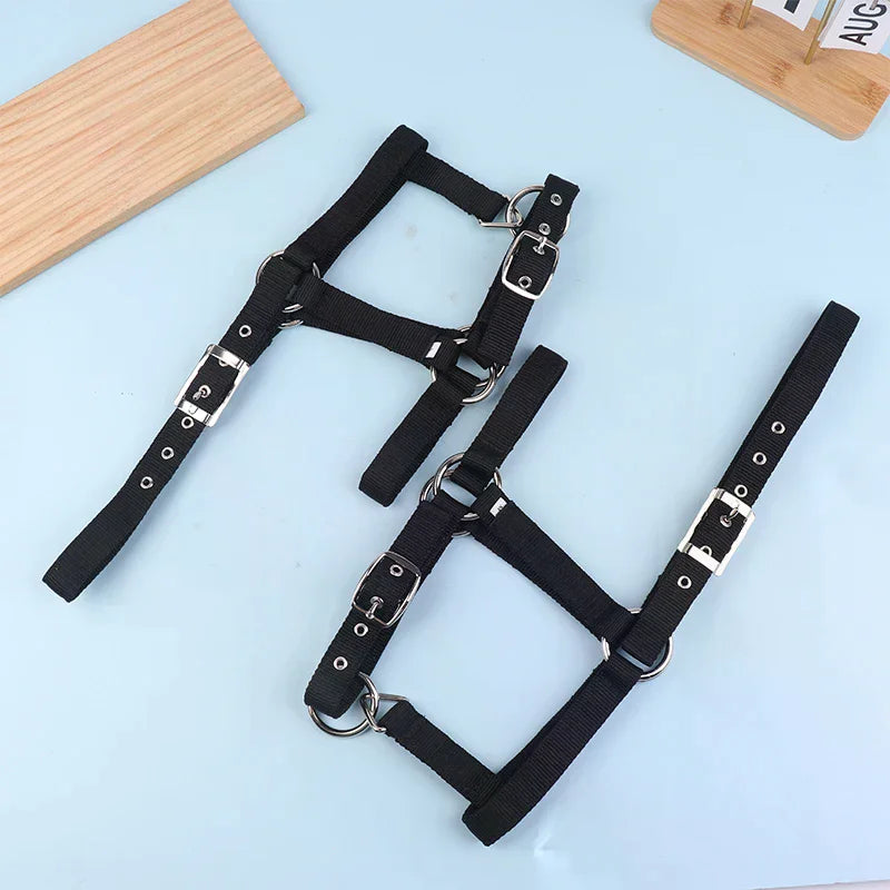Adjustable Nylon Webbing Equestrian Western Horse Halter Horse Riding Wear Black XS S M L XL Ergonomic Comfortable Halters