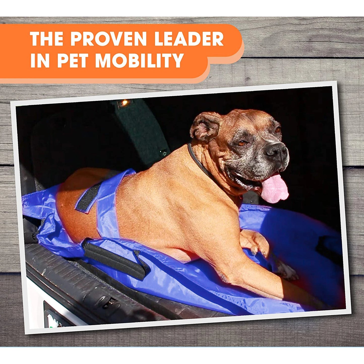 Pet Transport Stretcher Emergency Nylon Stretcher Anti-bite for Pet Dog Small Animals