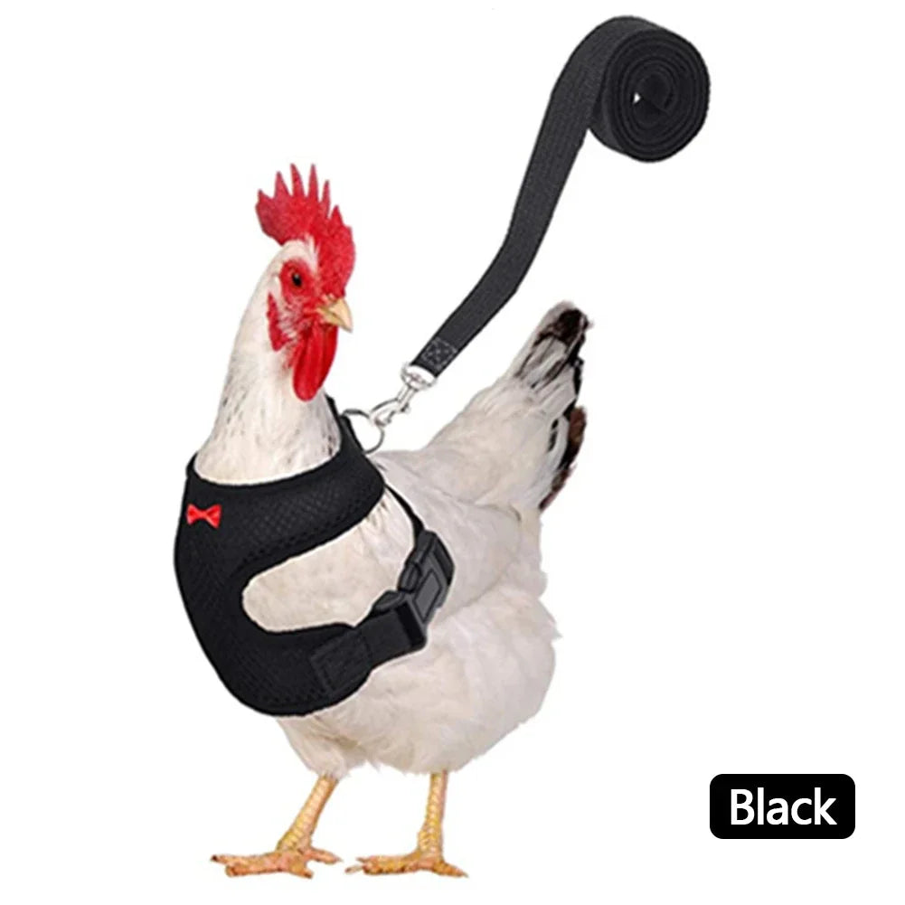 Fashion Chicken Duck Vest Hen Belt Pet Harness Matching Collars Bow Comfortable Leads Mesh Breathable Poultry Supplies Leash
