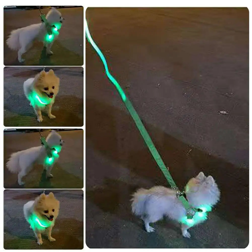 Adjustable LED Pet Harness USB Rechargeable Light Up Dog Harness Glow-in-The-Dark Safety Vest For Small Medium Dogs Pets Arnes
