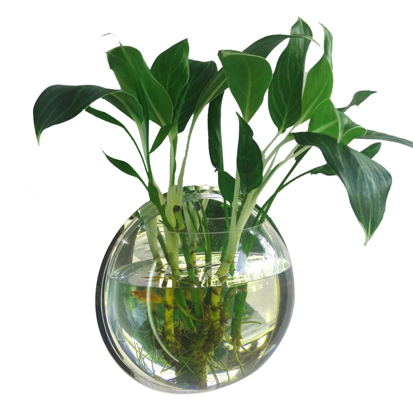 Fish Tanks Home Decoration Wall Mount Fish Tanks Goldfish Bowl Acrylic Hanging Aquariums Flowerpot Flower Vase 15/23CM