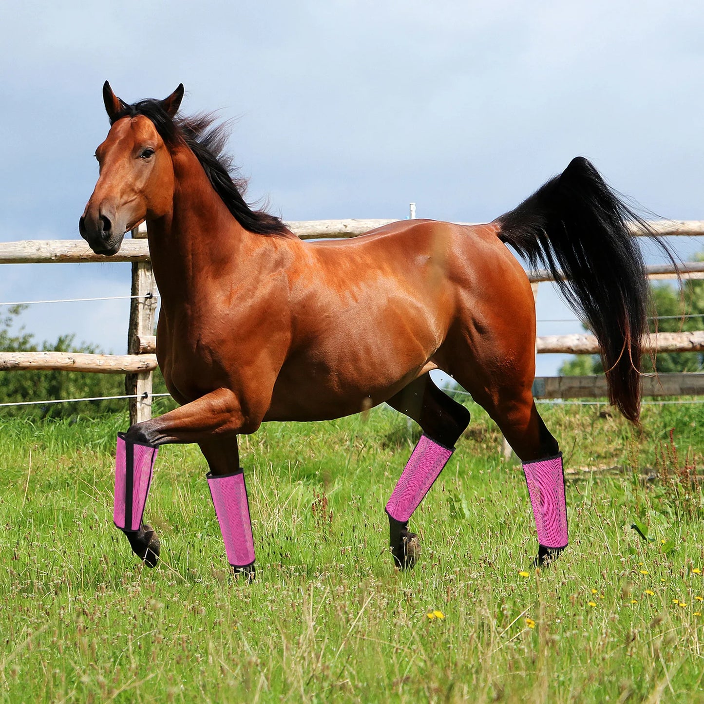 4 Sets Horse Foot Protective Cover Protective Horse Leg Wraps Breathable Mesh Horse Boots for Preventing Flies Mosquitoes Bite