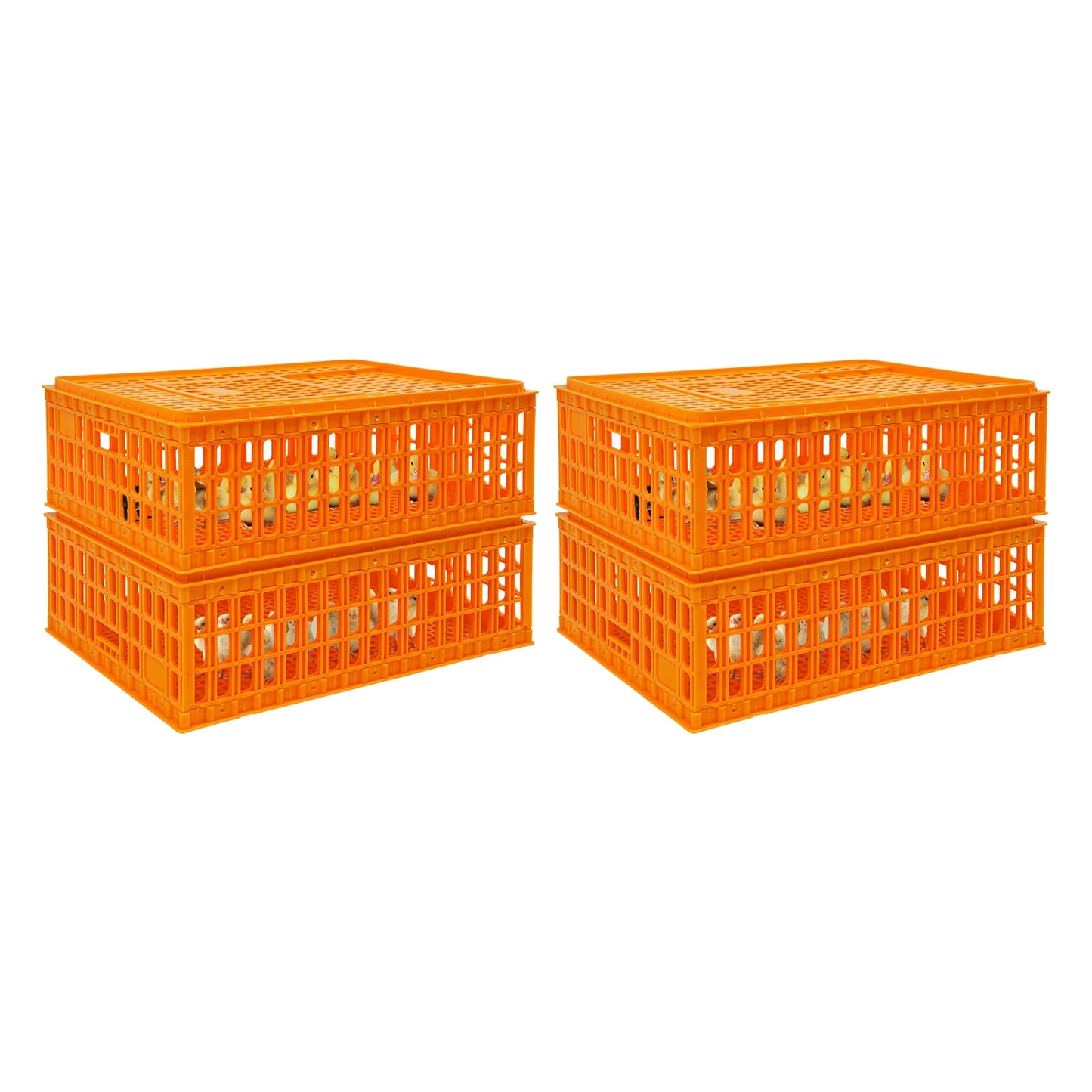Plastic Chicken Transport Cage Stackable Poultry Crate Ventilated Farm Animal Carrier for Chickens Ducks