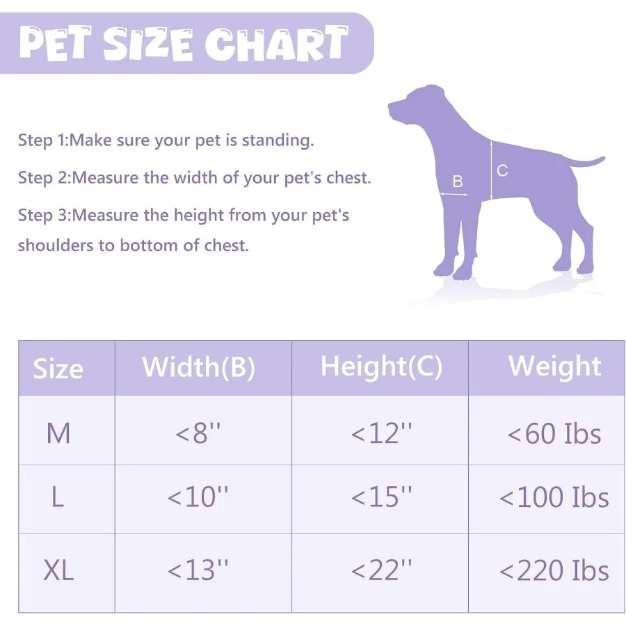 Durable Pet Door with Aluminum Frame and Double Automatic Closing Magnetic Flap for Large Dogs and Pets Suitable for Interior a