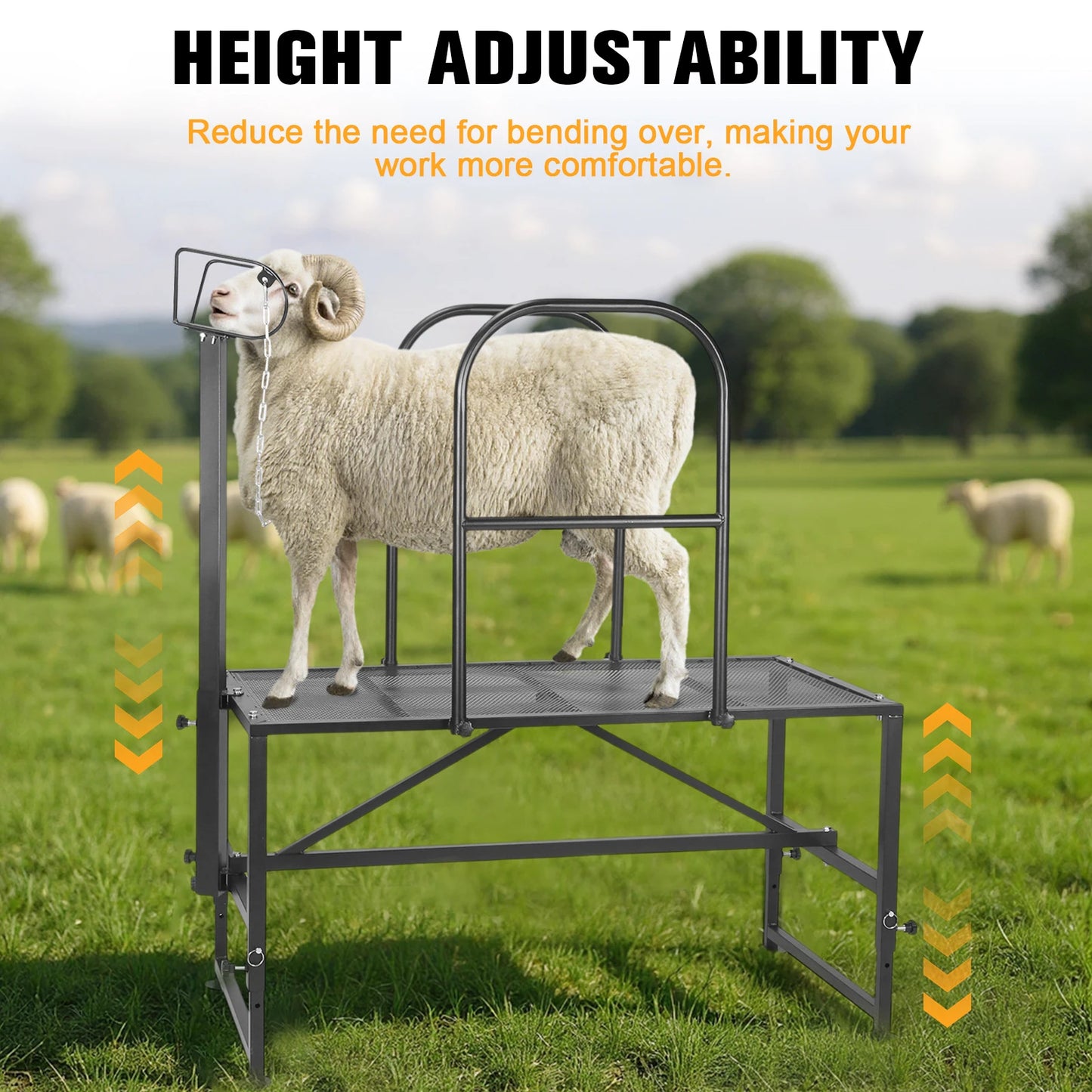 Goat Milking Stand Sheep & Goat Trimming Stand Adjustable Height Goat Shearing Livestock Stand with Headpiece and Nose Loop