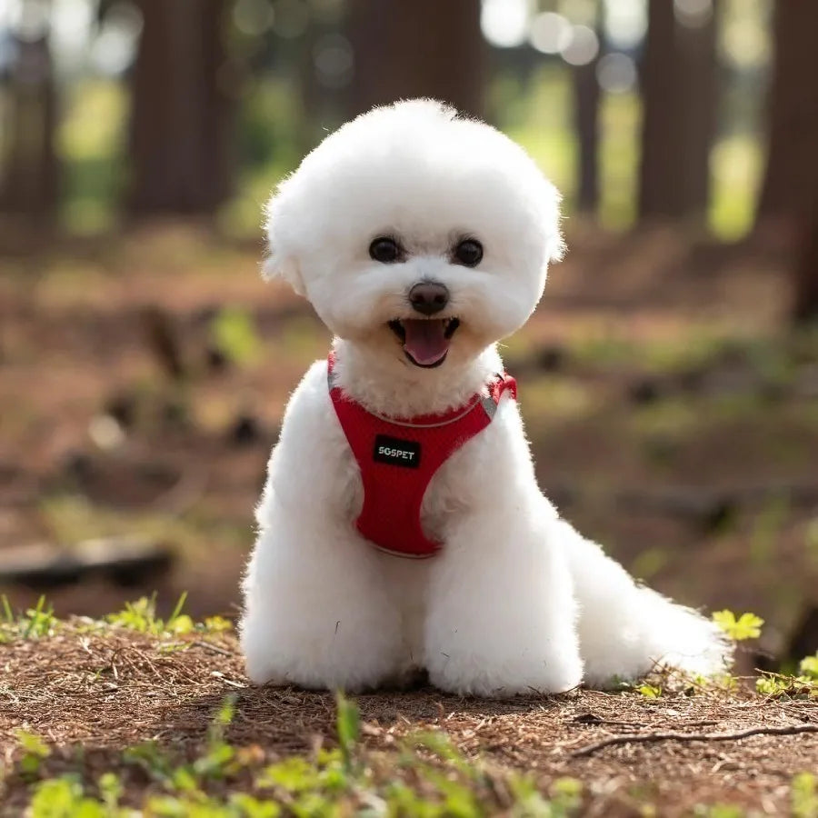 Dog Harness Dog Breathable Mesh Harness Vest Collar Soft Chest Strap Leash Set All Weather Mesh Adjustable Reflective Puppy Har