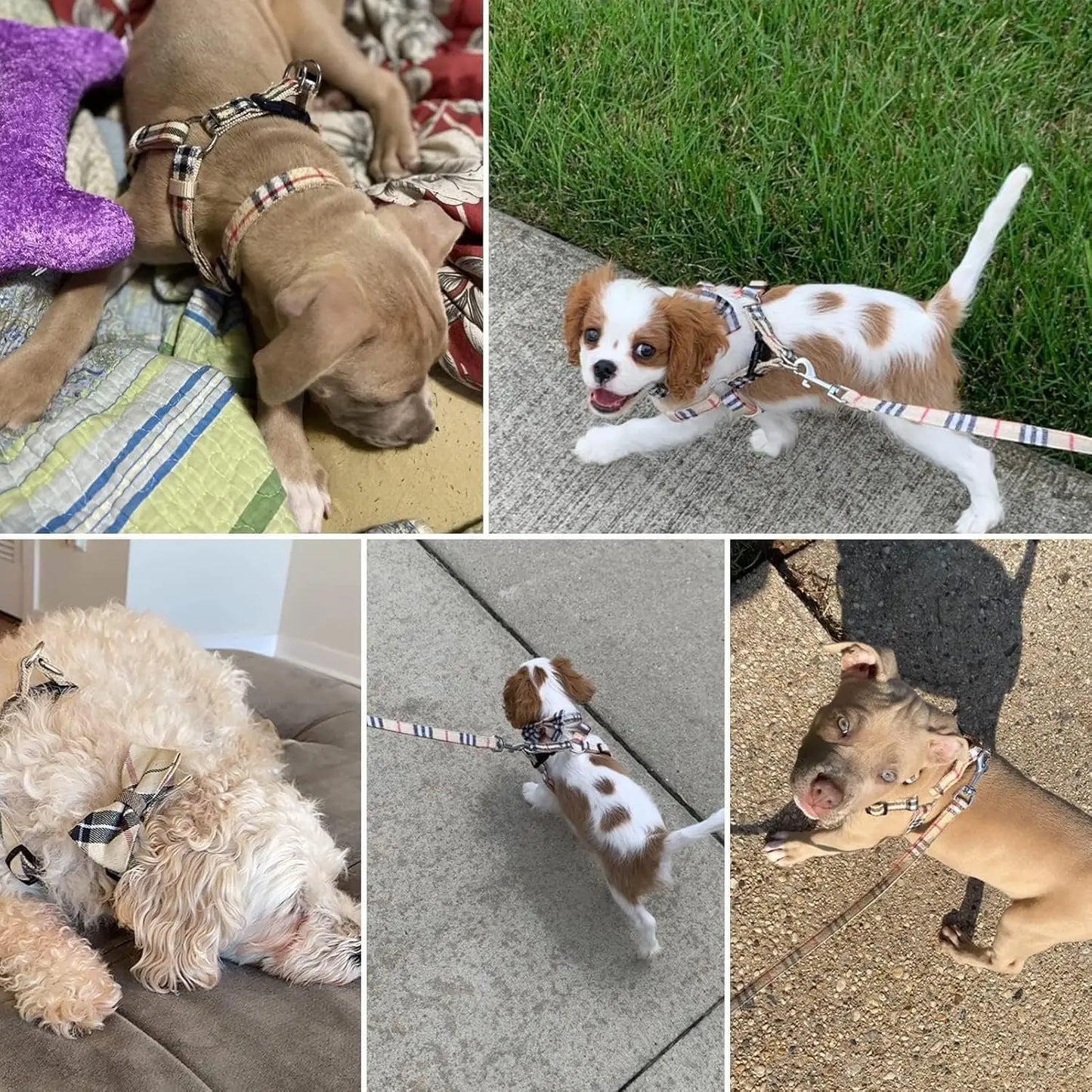 Adjustable No-Pull Dog Harness Collar Leash Set, Escape-Proof Plaid Design for Small Medium Large Dogs Training Walking