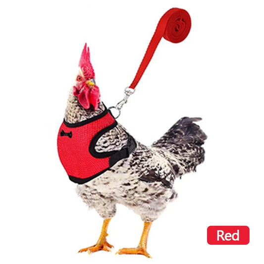 Fashion Chicken Duck Vest Hen Belt Pet Harness Matching Collars Bow Comfortable Leads Mesh Breathable Poultry Supplies Leash
