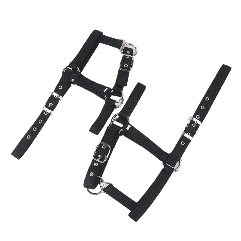Adjustable Nylon Webbing Equestrian Western Horse Halter Horse Riding Wear Black XS S M L XL Ergonomic Comfortable Halters