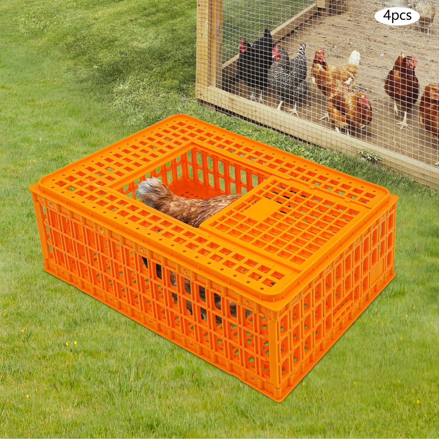 Plastic Chicken Transport Cage Stackable Poultry Crate Ventilated Farm Animal Carrier for Chickens Ducks