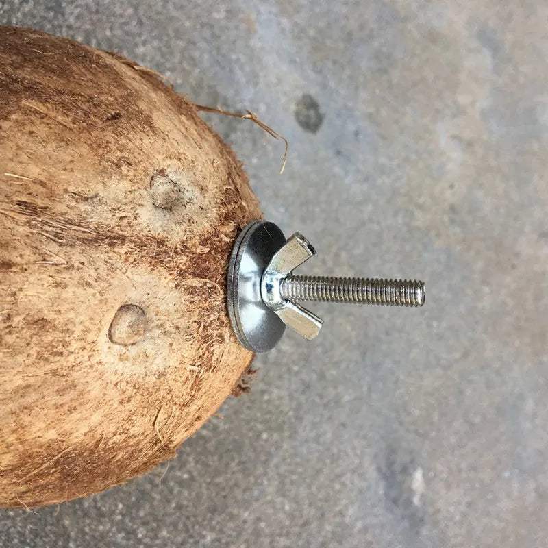 Natural Coco Hideaway Parrot Birds Reptile Coconut Shell Bird Nest Cage Hanging Toy for Budgies Parakeet Cockatiels Hamste House