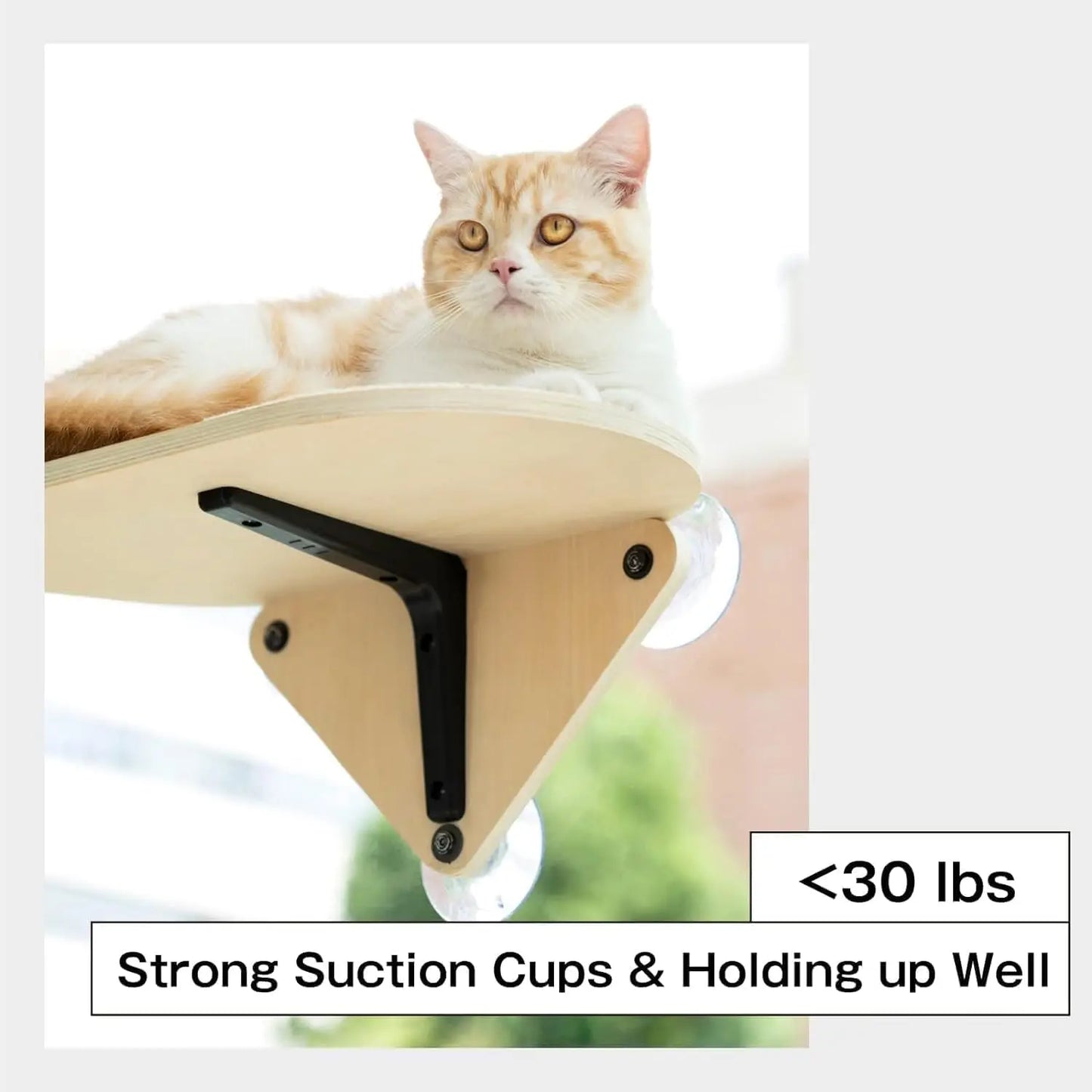 Mewoofun Cat Window Perch Hammock Wooden with Strong Suction Cup Cat Platform Window Bed Mounted Cat Bed for Indoor Cats