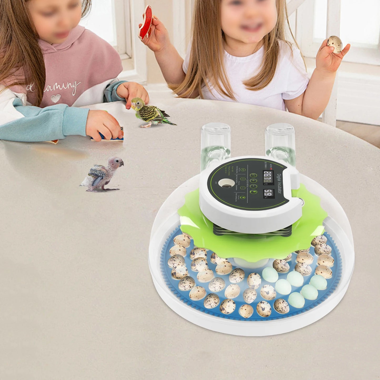 Small Incubator for 60 Small Eggs, Automatic Water Replenishment and Temperature Control Incubator, Outdoor Poultry