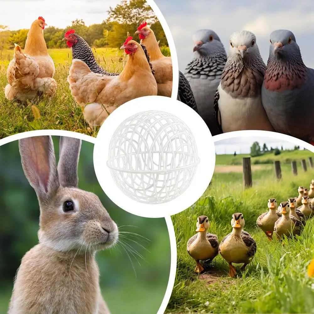 3pcs Walking Chicken Cage Safety Spherical Chicken Rolling Ball Chicken Hamster Ball Cage Free Range Can Roll and Walk To Feed