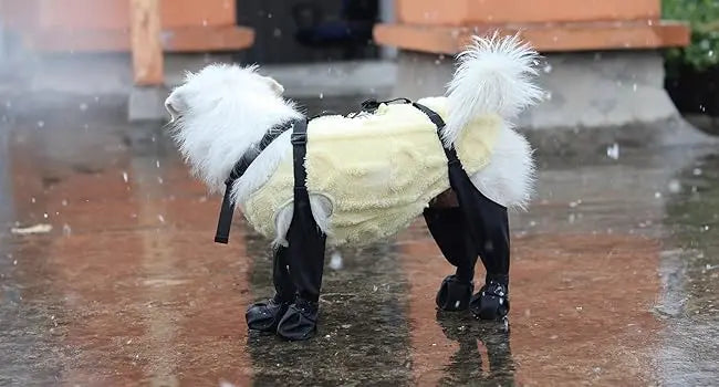 2025 Best Anti-Slip Dog Shoes Pet Paw Protector Dog Rain Booties, Dirty-proof & Anti-fall Dog Outdoor Dog Suspender Sock Shoes