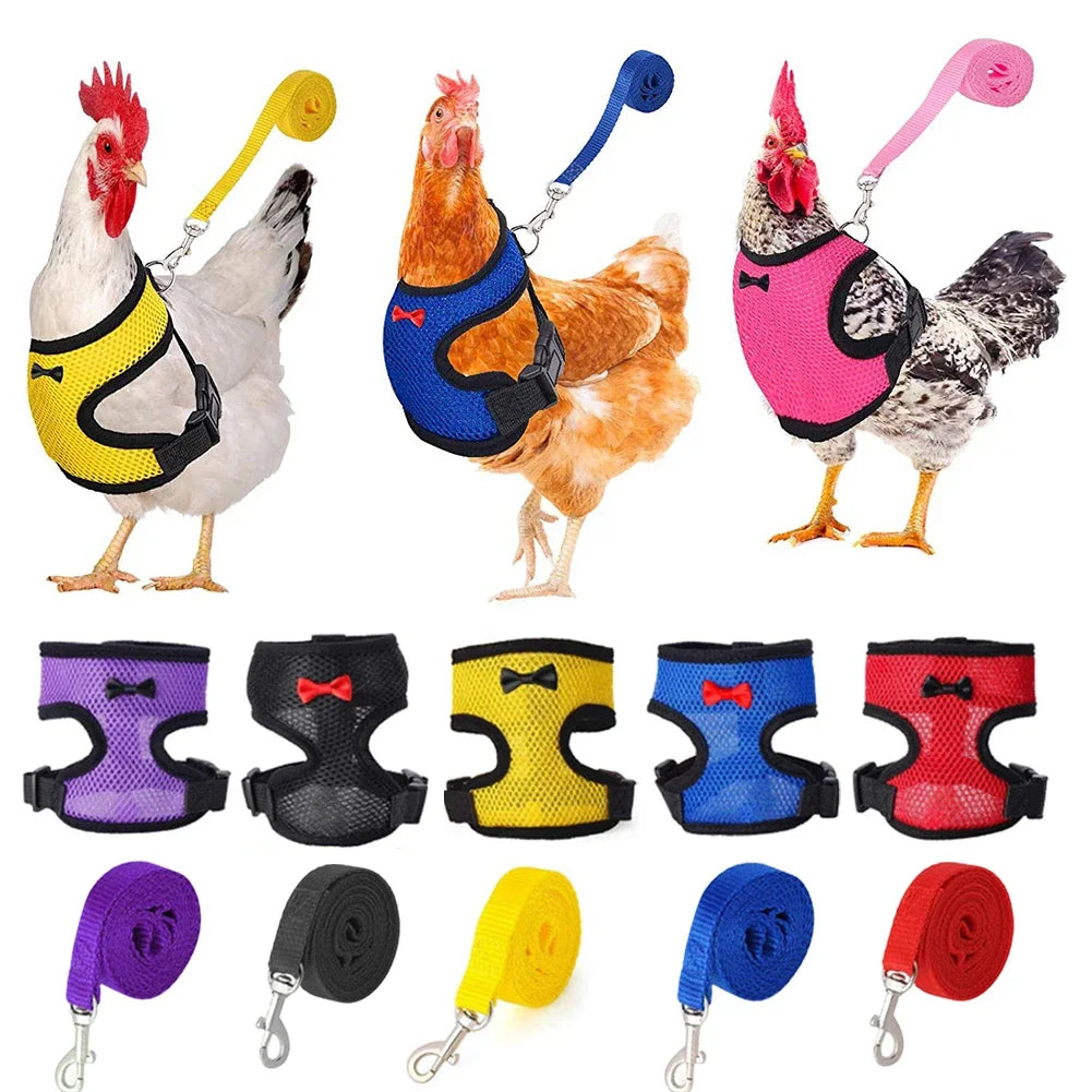 Fashion Chicken Duck Vest Hen Belt Pet Harness Matching Collars Bow Comfortable Leads Mesh Breathable Poultry Supplies Leash